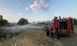 Osmancık'ta çıkan ot yangını söndürüldü