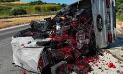 Samsun'da meyve yüklü kamyonet devrildi, 1 kişi yaralandı