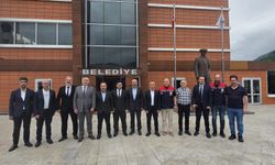 Trabzon'da suni tohumlama çalışmaları sürüyor