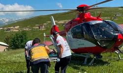 Trabzon'da yaylada mantardan zehirlenen kişi ambulans helikopterle hastaneye kaldırıldı