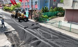 45 BİN TONUN 14 BİN TONU DÖKÜLDÜ