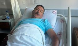 YILAN ISIRDI, HASTANELİK OLDU