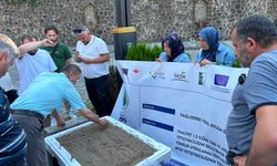 Yağlıdere'de çiftçilere salep yetiştiriciliği eğitimi verildi