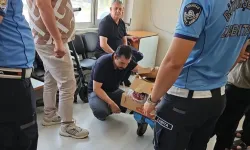 Zabıtadan sağlıksız et operasyonu