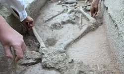 Aspendos'ta 2 bin 400 yıllık gizem... Güreşçi mezarı ortaya çıktı