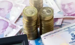 ESNAF KREDİLERİNE AYAR