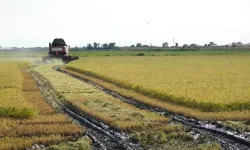 İpsala'da 2026 çeltik sezonu dualarla açıldı