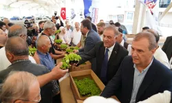 İstanbul'da hasat bayramı Çatalca'da kutlandı
