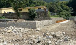 SOKAK HAYVANLARINA 12,5 DÖNÜMLÜK ALAN