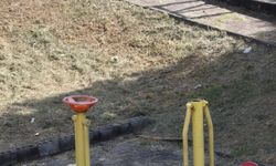 HERŞEY AİLEDEN BAŞLAR
