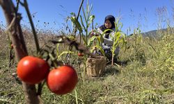 ÜRETİCİNİN EMEĞİ KATMA DEĞERE DÖNÜŞÜYOR