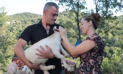 EMEKLİ OLDU, ATIL ARAZİYE ÇİFTLİK KURDU