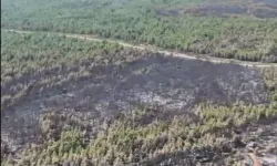 Antalya ve Adana'daki yangınlar kontrol altına alındı