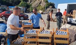 AV SEZONUNDA İLK GÜN BEREKETİ