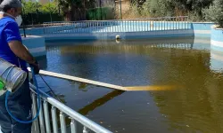 İzmir'de sivrisinekle mücadelede dört mevsim devam