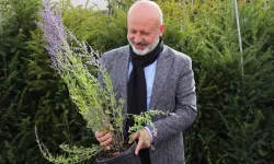 Kayseri Kocasinan on binlerce ağacı toprakla buluşturuyor