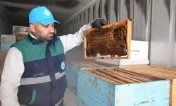 Manisa'da arıcıların peteklerine eksi 30 derecelik koruma