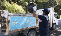 Manisa'da Spil Dağı yolunda temizlik çalışması