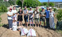 Mersin'de enginar üretimini yaygınlaştırıyor