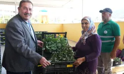 Muğla Milas'ta üreticiye yüzde 50 hibeli fide desteği