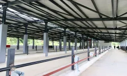 Ordu Fatsa'da Damızlık Düve Yetiştirme Merkezi tamamlandı