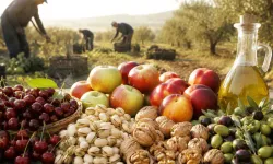 2026'da zeytin ve meyve üretiminde büyük artış bekleniyor
