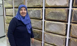Ağrı'da arılar kışa hazırlanıyor... Arıcı Suzan Sürmeli anlattı