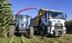 ATA Çiftliği'nde hasat bereketi üreticiye destek olacak