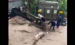 BU GÖRÜNTÜLER DE GÜLÜÇ'DEN