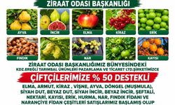 YÜZDE 50'Sİ DESTEKLİ FİDE...