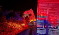 ALAPLI'DA KAZA: 1 ÖLÜ