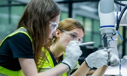 İş Dünyası ve İnsan Hakları Programı için başvurularda son gün 15 Aralık