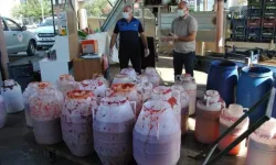 Küflü salçaları satacaklardı! Zabıtadan şok baskın