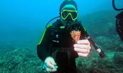 Marsilya'da deniz koruma alanı örnek oldu