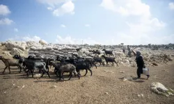 Mersin'de üreticiye güneş paneli desteği