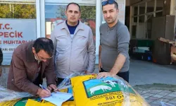 Mustafakemalpaşa'da üreticilere 2 ton İtalyan çimi tohumu desteği