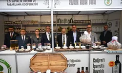 Uluslararası Ayvalık Zeytin Hasat ve Turizm Festivali başladı
