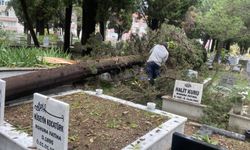 FIRTINADA ZARAR GÖREN MEZARLAR ONARILDI