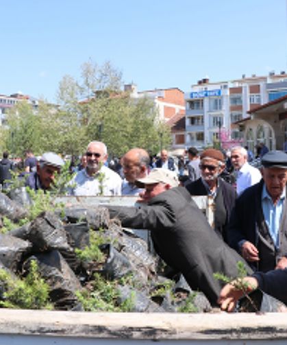 Havza Belediyesi vatandaşlara 1500 fidan dağıttı