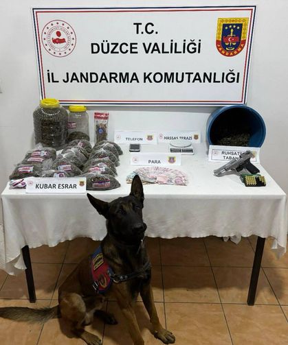 Düzce'de evinde 3 kilo 425 gram esrar ele geçirilen şüpheli tutuklandı