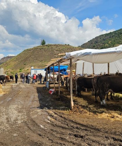 Bayat ilçesinde kurban pazarında hareketlilik sürüyor