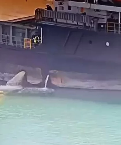 Mersin Limanı'nda denizi kirleten gemiye 13,1 milyon TL ceza