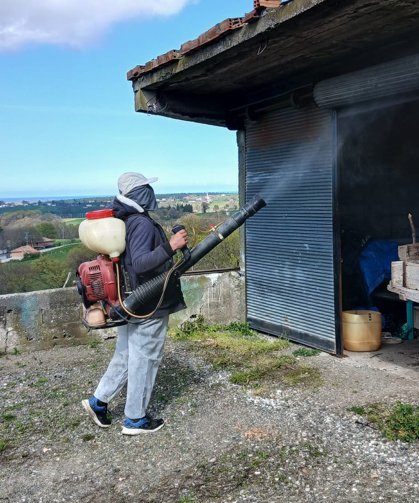 19 Mayıs'ta kahverengi kokarca ile mücadele çalışmaları sürüyor