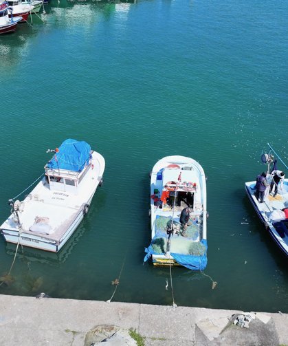 Batı Karadeniz ve Doğu Marmara'da balıkçılar bu sezon umduğunu bulamadı