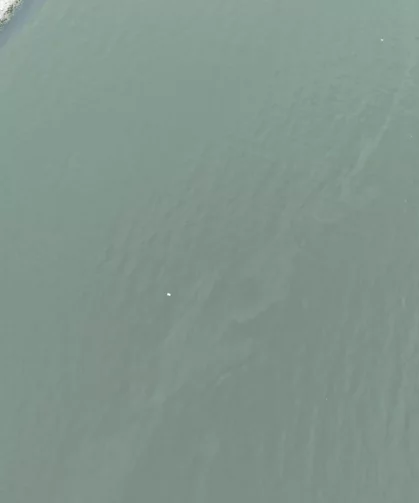 İzmir Körfezi'nde kirlilik endişelendiriyor! Aynı tehdit 11. kez görüldü