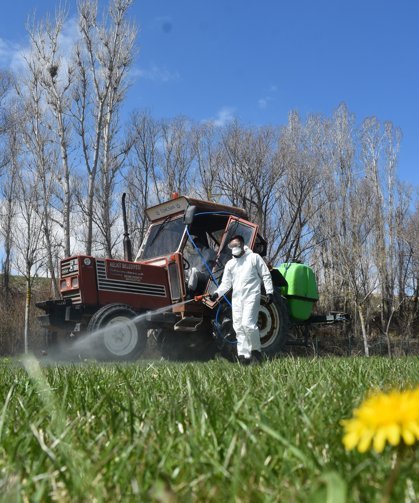 Kelkit'te kene ile mücadele çalışması başlatıldı