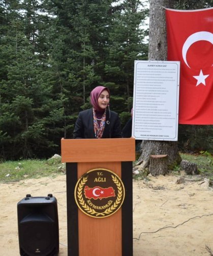 31. Uluslararası Şeyh Şaban-ı Veli ve Kastamonu Evliyaları Anma Haftası