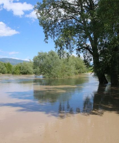 Tokat'ın Niksar ilçesinde taşkın riskine karşı önlemler sürüyor
