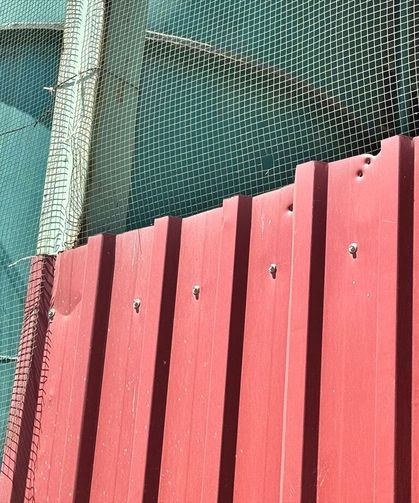 Samsun'da silahlı saldırı sonucu tesiste kimyasal sızıntıya neden olan zanlıya adli kontrol