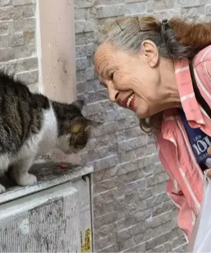 Sokak hayvanlarının 'Panter Emel'i hayatını kaybetti